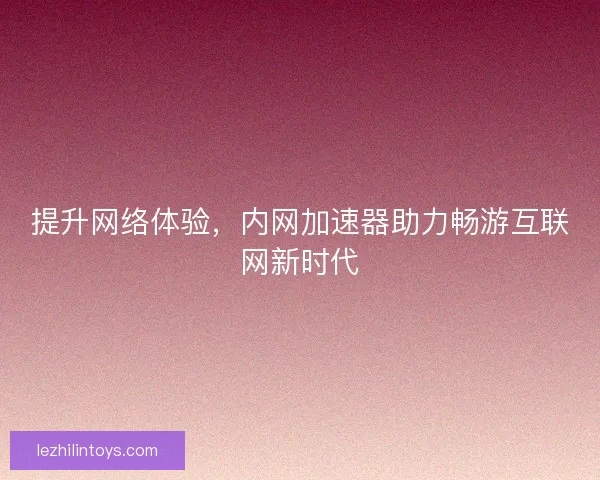 提升网络体验，内网加速器助力畅游互联网新时代